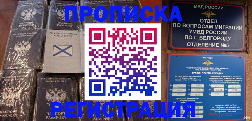 прописка гарантия в Чечне